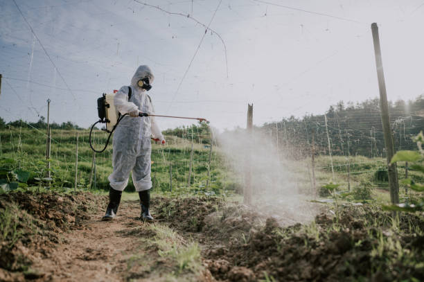Best Pest Prevention Services  in Frankenmuth, MI
