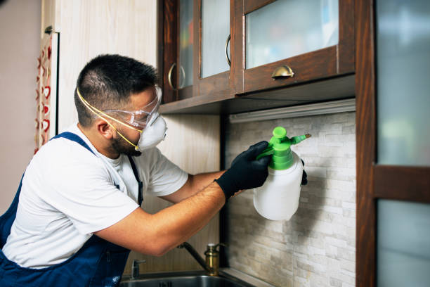 Best Mosquito Control Services  in Frankenmuth, MI