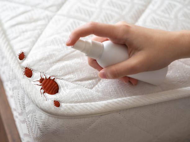 Best Exterminator Services  in Frankenmuth, MI