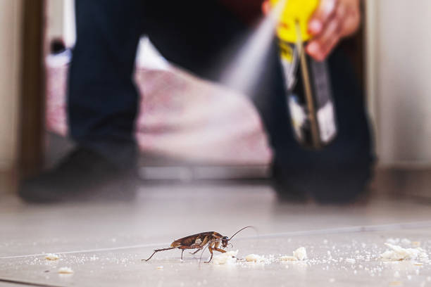 Best Pest Inspection Near Me  in Frankenmuth, MI