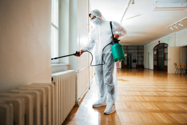 Best Local Pest Control Services  in Frankenmuth, MI